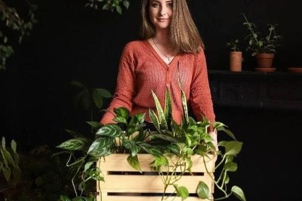 Гроубокс Маркет в Artplay: 130 продавцов хой, ароидных и чёрной тыквы, Центр дизайна Artplay, Малый зал