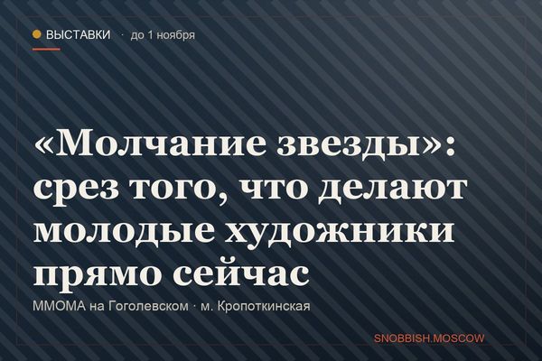 «Молчание звезды»: срез того, что делают молодые художники прямо сейчас, ММОМА на Гоголевском