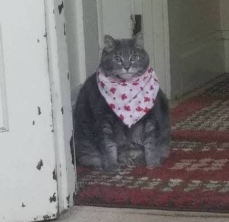 Музей БИОТЕХ (ВДНХ)