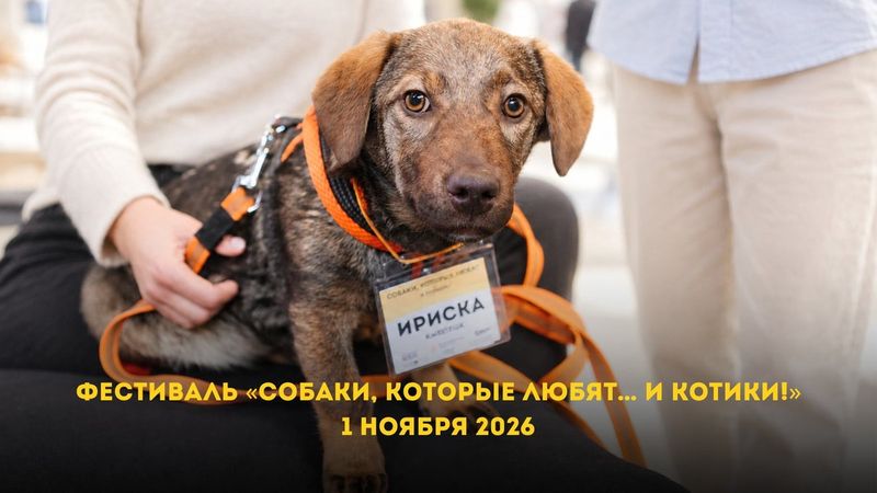 Графит