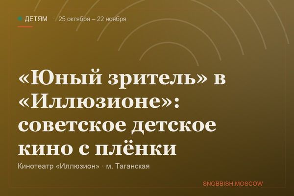 «Юный зритель» в «Иллюзионе»: советское детское кино с плёнки, Кинотеатр «Иллюзион»